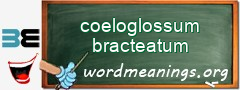 WordMeaning blackboard for coeloglossum bracteatum